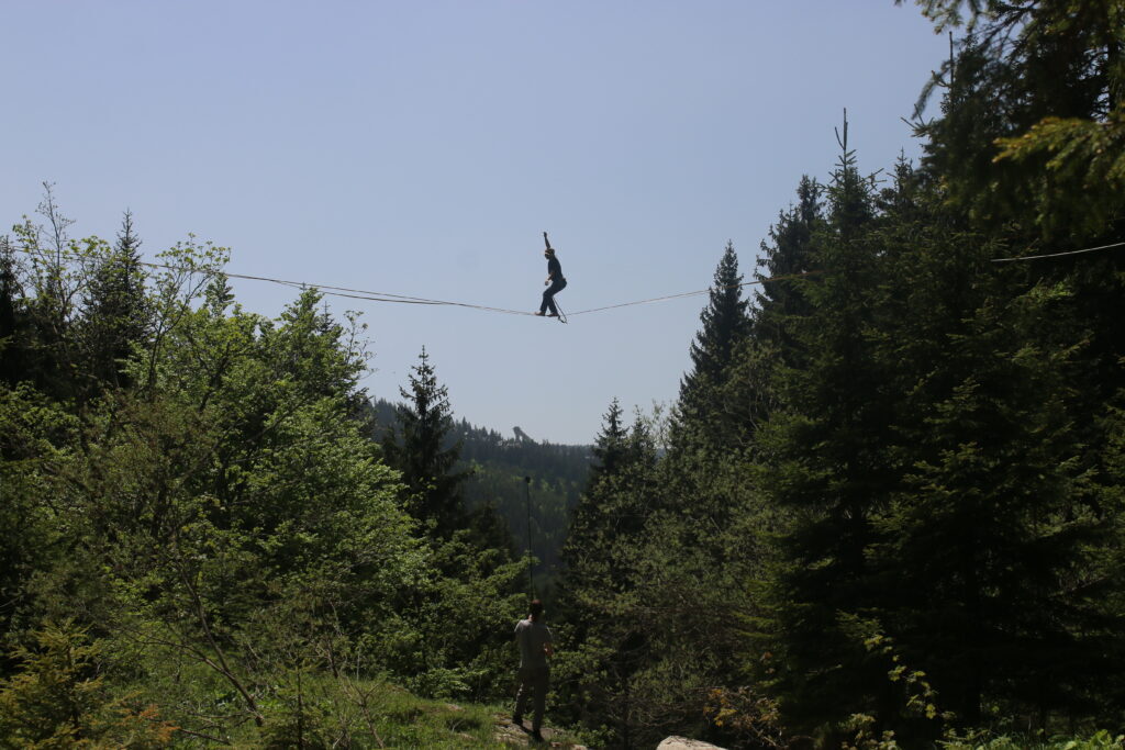 IMG 3995